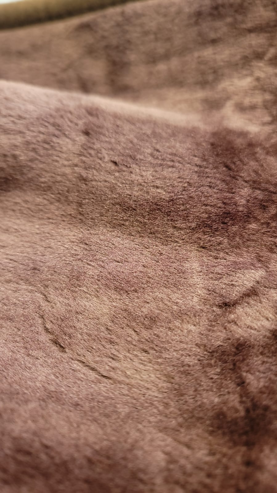 Luxury Velvet Plush Blanket, Twin size