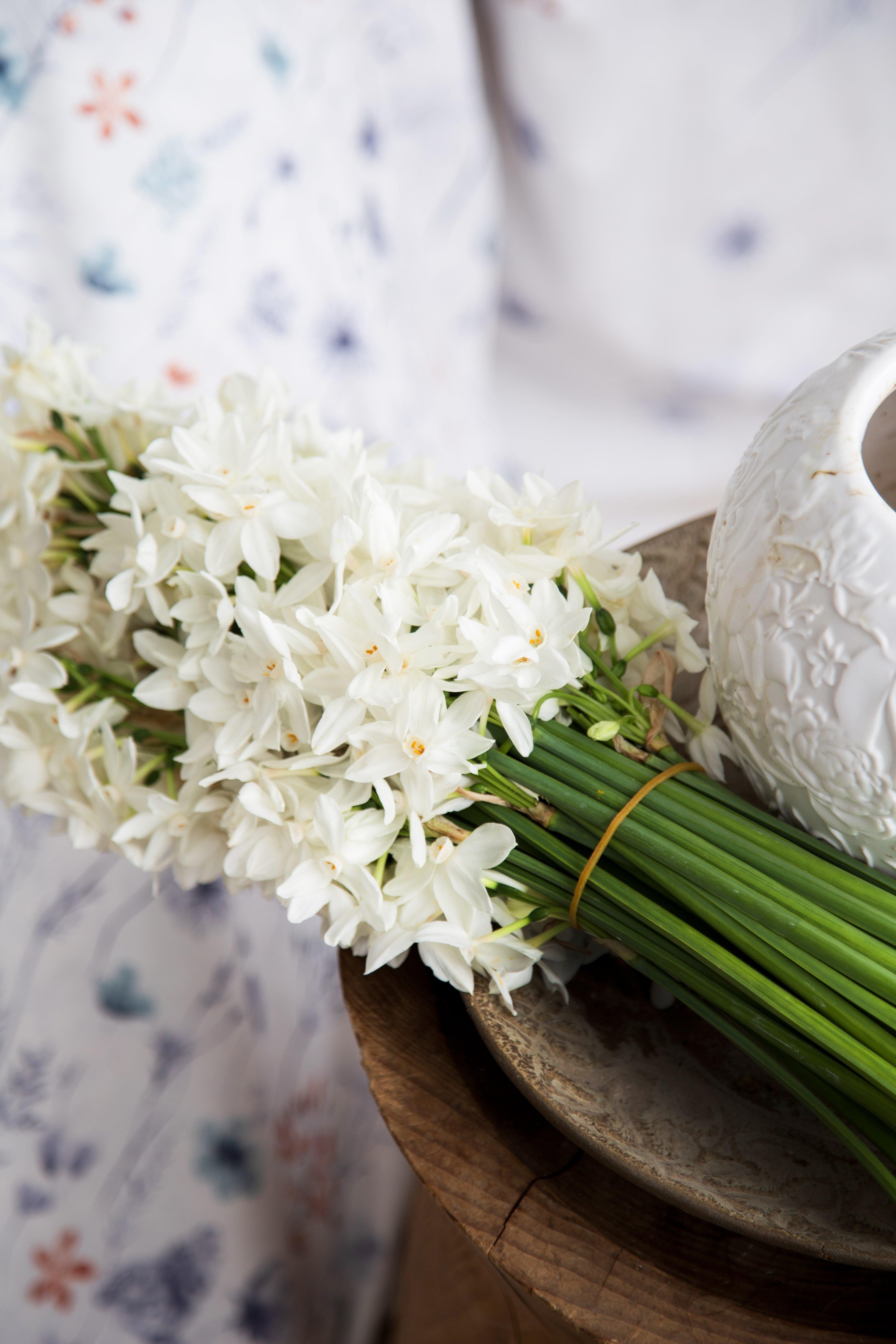 DOUBLE COMPLETE SET PAPILLO TURQUOISE - COMPLET SET