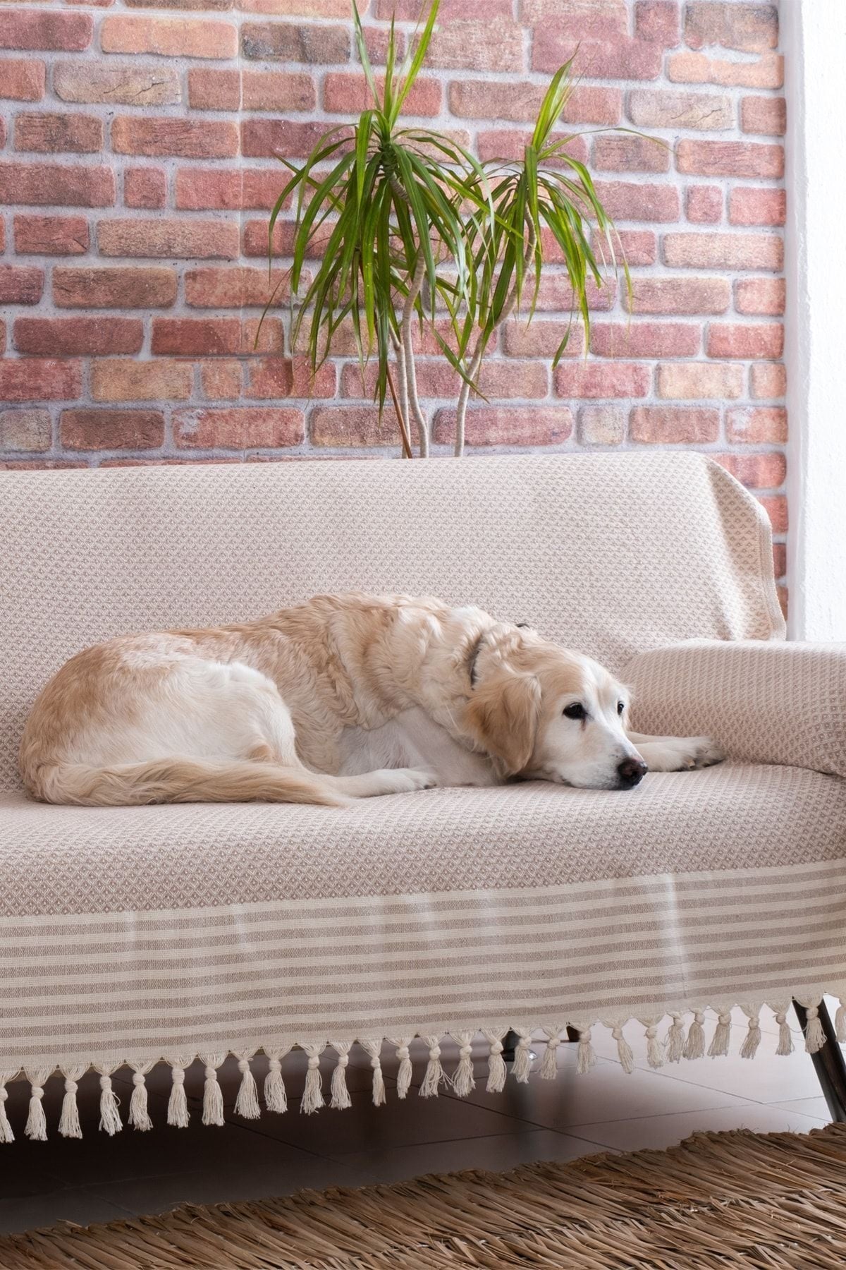 Sofa Bed Cover Special Non-Slip Design Multi-Purpose Cover